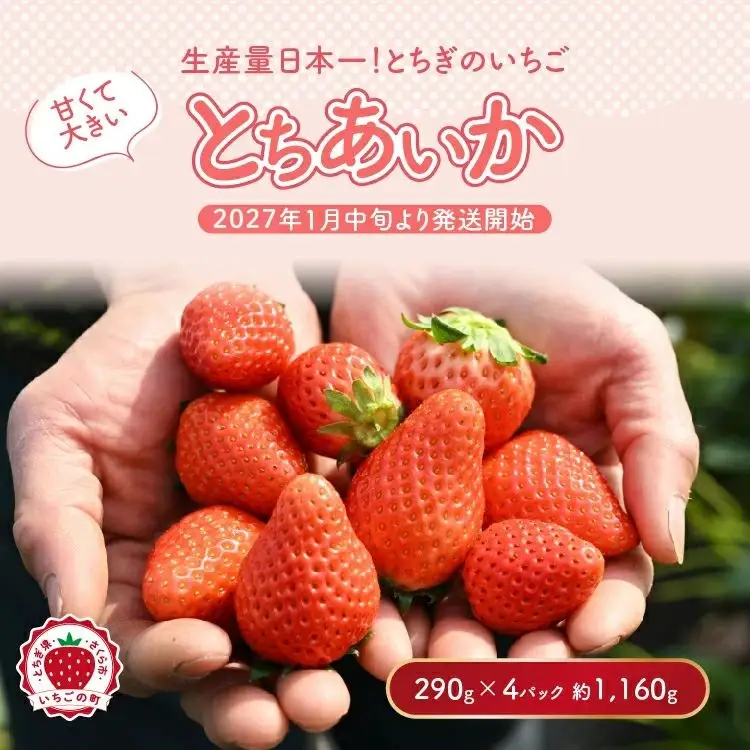 【先行予約】いちご 厳選！さくら市産 とちあいか（290g×4パック） ※2027年1月～発送