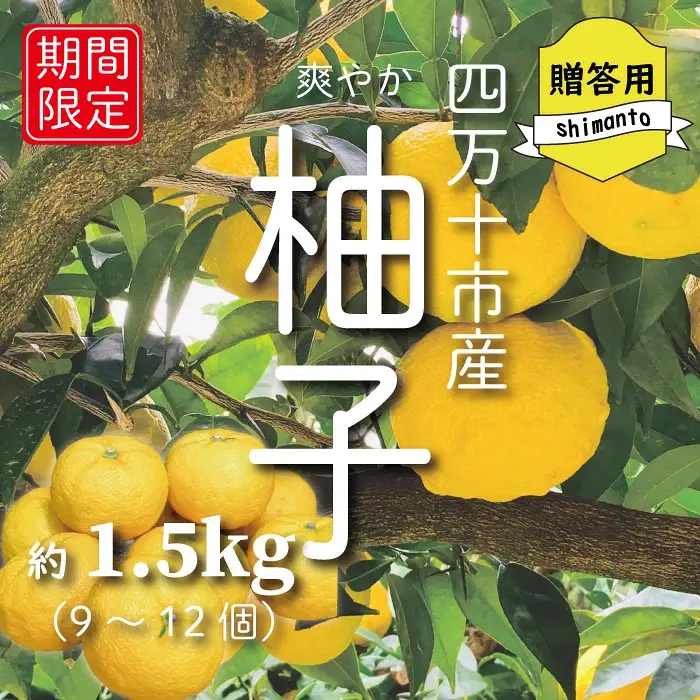39210-099-0001_ 四万十産　爽やか柚子（贈答用）約1.5kg（9個～12個)