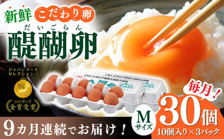 卵 【9回定期便】卵 30個入りMサイズ [ANAZ005] 卵