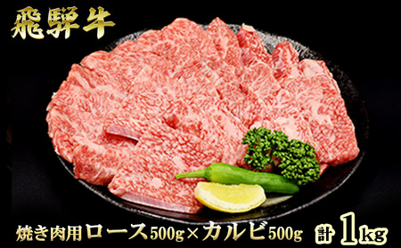 飛騨牛焼肉セット ロース カルビ A5 和牛 飛騨牛焼肉セット【計1kg】