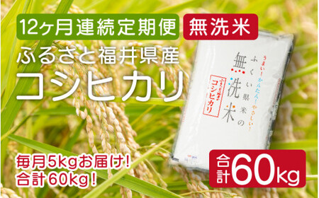[051-k001] 定期便 無洗米 コシヒカリ 5kg × 12回