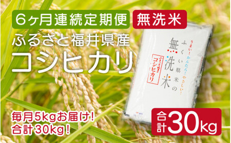 [051-f002] 定期便 無洗米 コシヒカリ 5kg × 6回