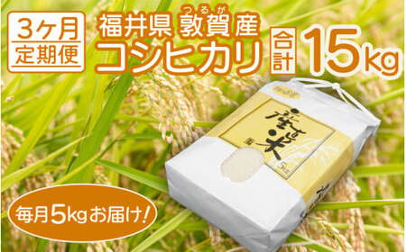 [051-c006] 定期便 敦賀産 コシヒカリ 5kg × 3回