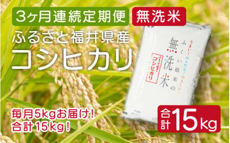 [051-c005] 定期便 無洗米  コシヒカリ 5kg × 3回