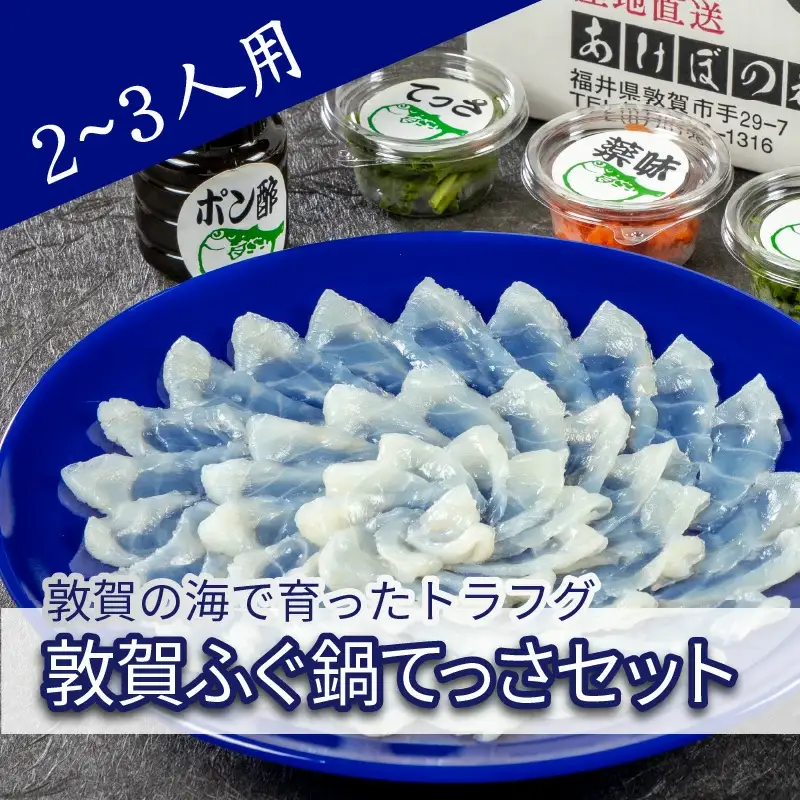 ＜先行予約＞【11月発送】フグ 敦賀ふぐ鍋てっさ セット（2～3人前）【冷蔵 海鮮 てっちり てっさ 刺身 トラフグ ふぐ 河豚 鍋 なべ】
