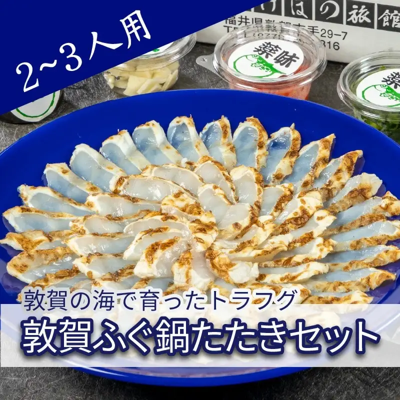 ＜先行予約＞【11月発送】フグ 敦賀ふぐ鍋たたきセット（2～3人用） 【ふぐのたたき 冷蔵 海鮮 鍋 なべ 河豚】