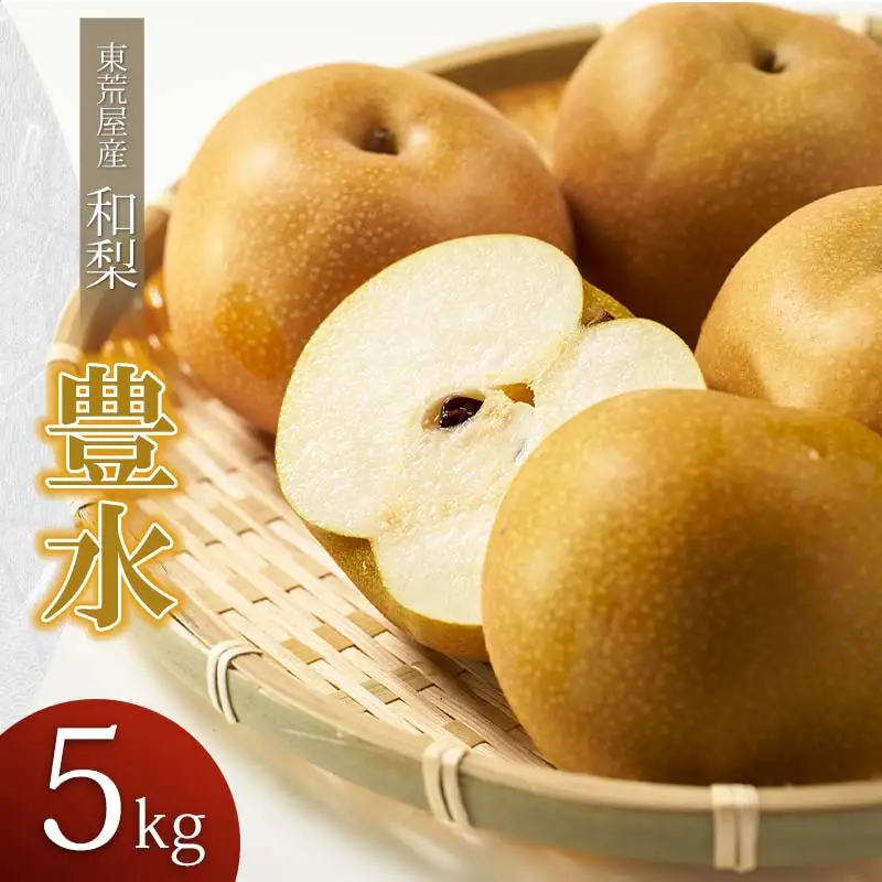 【令和8年産先行予約】 東荒屋産　豊水　(和梨)　5kg　山形県鶴岡市　鶴岡中央青果　| 梨 ナシ 果物 くだもの フルーツ 旬 期間限定 5キロ 甘い みずみずしい おすすめ 人気 お取り寄せ 返礼品