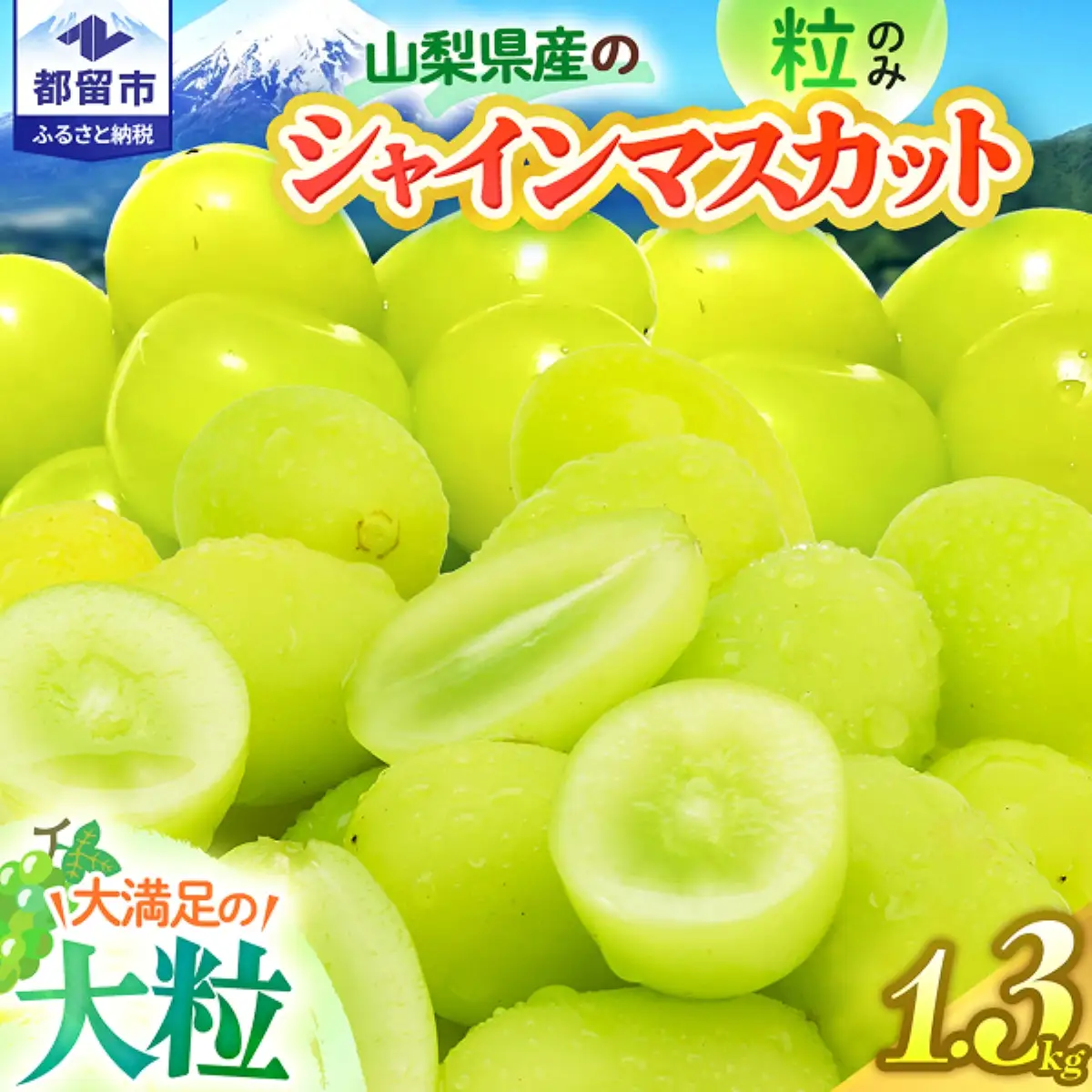 【2026年先行予約】シャインマスカット約1.3kg　（粒）｜シャインマスカット ぶどう