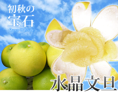 【C06034】温室　水晶文旦　3kg・5〜7玉［期間限定品］