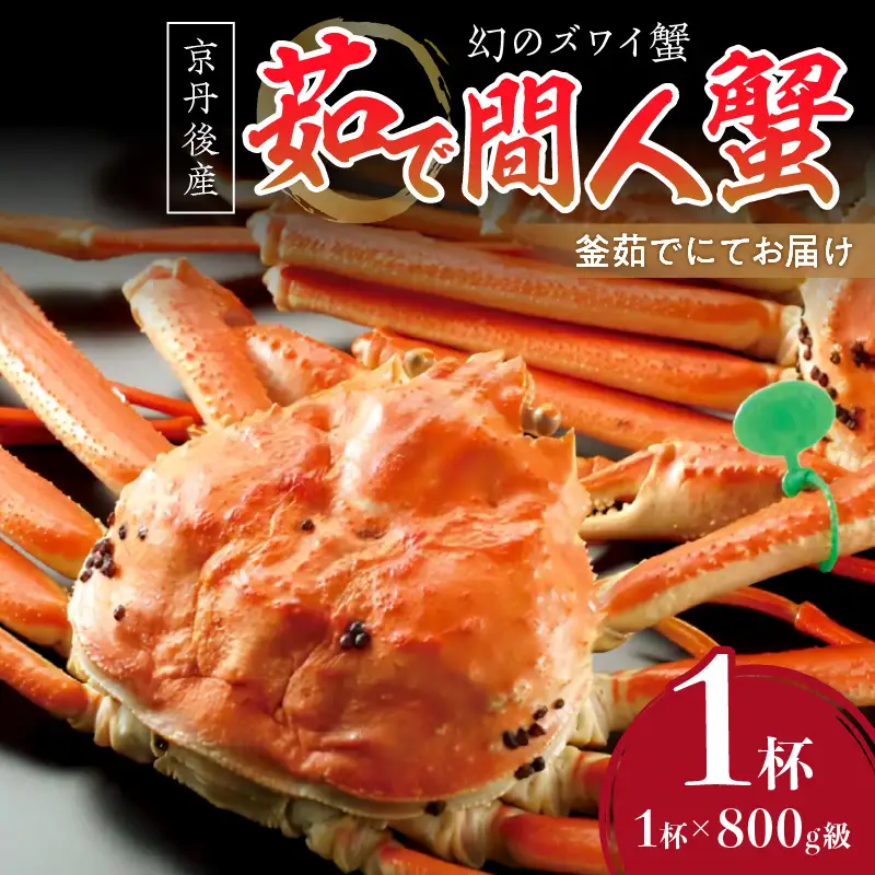 【幻のズワイ蟹】京丹後産 茹で間人蟹 鮮度抜群、釜茹でにてお届け！！ 800g級×1杯