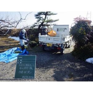 ふるさと実家近くのあんしん見守り隊（半日）