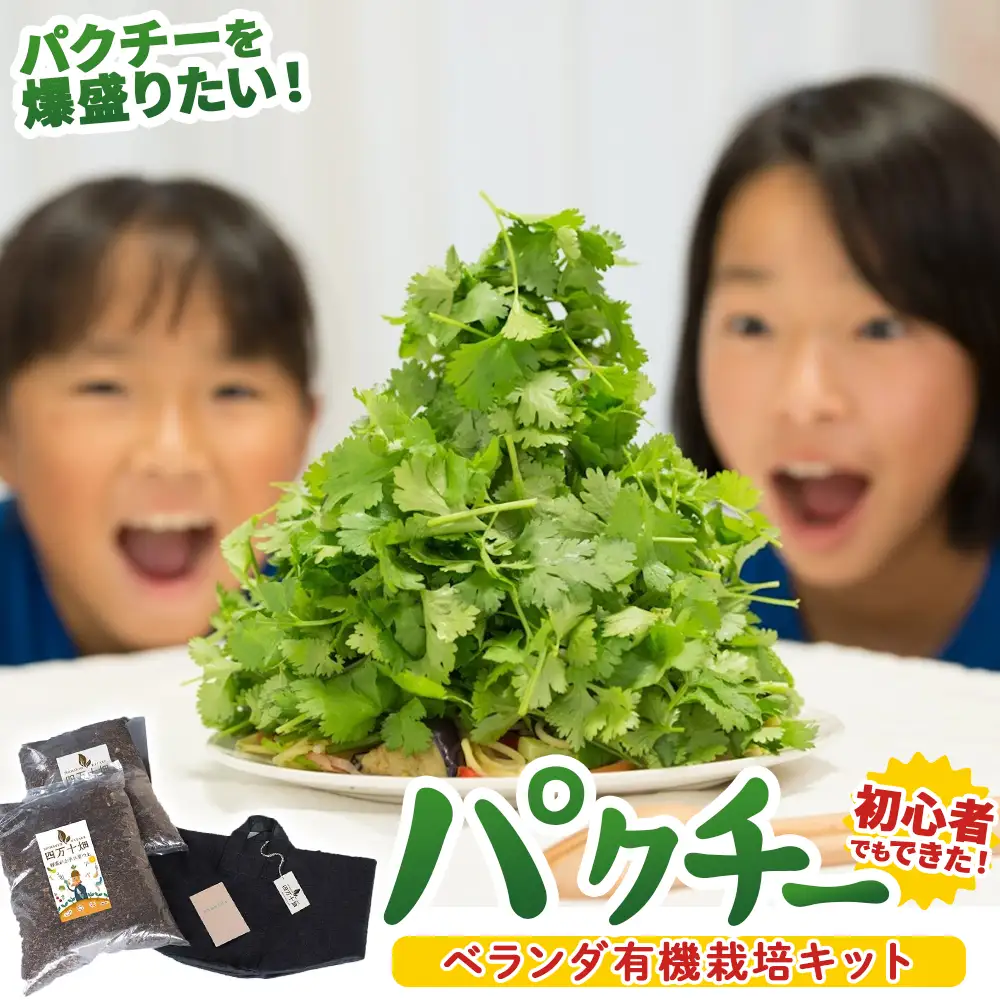 初心者も安心のお野菜栽培キット(パクチーの種付き)四万十の豊かな土壌を再現！！／Fis-B01 趣味 ガーデニング 家庭菜園 園芸 ベランダ菜園 プランター 種 パクチー パクチー種 培養土
