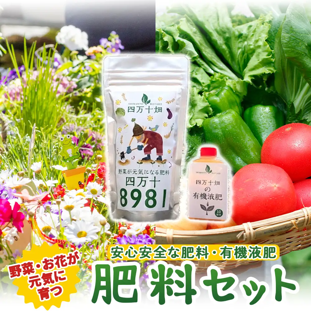 野菜が元気に育つ肥料セット ／Fis-A03 趣味 ガーデニング 家庭菜園 園芸 ベランダ菜園 プランター 種 種子 プロ仕様の肥料 培養土 畑 土造り 土壌改良 土づくり 土壌改良剤