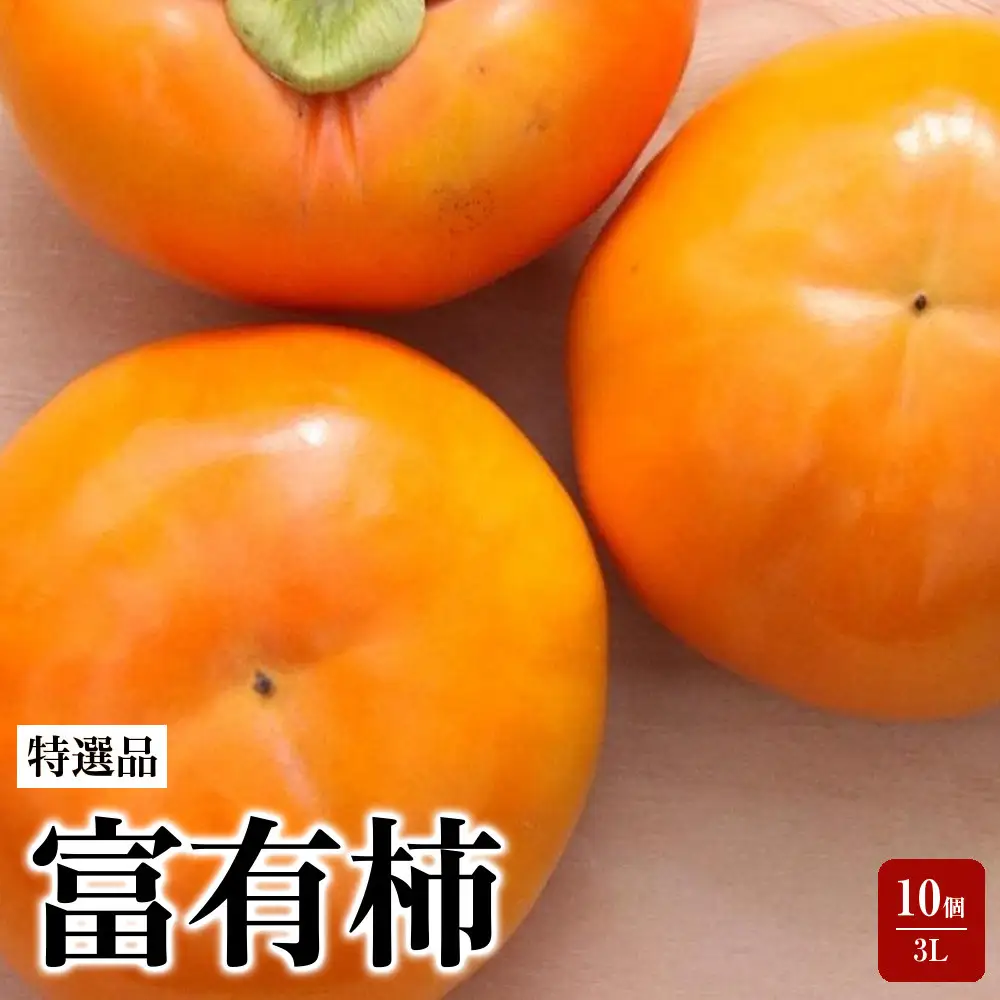 【特選品】岐阜県大野町産 富有柿 3L 10個入り【2026年11月下旬～発送】 富有柿