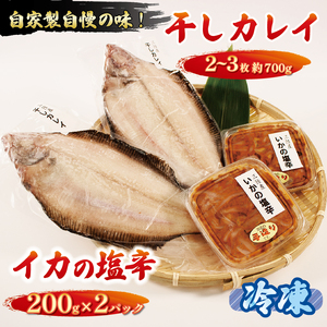【スピード発送】 干しカレイ2～3枚 (約700g) イカの塩辛 200g×2パック