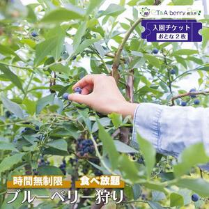 【時間無制限・食べ放題】ブルーベリー狩り入園チケットおとな２枚［ ブルーベリー狩り チケット 体験 入園チケット 時間無制限 食べ放題 おとな2枚 フルーツ狩り 観光 人気 おすすめ ギフト プレゼント 通販 送料無料 ふるさと納税 ］