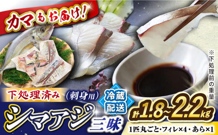 土日お届け シマアジ 堪能6点セットCBW012 アジ