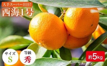 先行予約 秀品 西海1号 温州 みかん 5kg  Sサイズ みかん CCF006