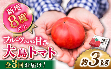 先行予約 3回定期便 大島トマト 約3kg CCK006 トマト