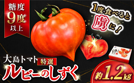 先行予約 ルビーのしずく トマト 約1.2kg CCK016 トマト 高糖度