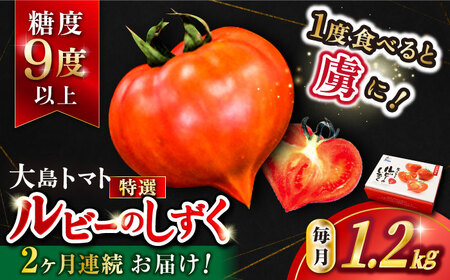 先行予約 2回定期便 トマト ルビーのしずく 約1.2kg CCK030 トマト 