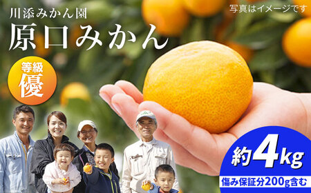 先行予約 原口みかん 優品 4kg 傷み保証分含む CCT001 みかん