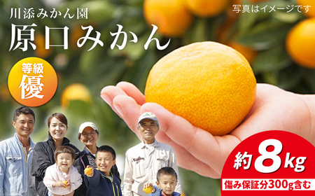 先行予約 原口みかん 優品 8kg 傷み保証分含む CCT002 みかん みかん