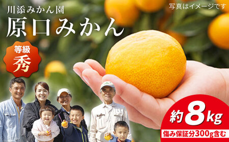 先行予約 原口みかん 秀品 8kg 傷み保証分300g含む CCT003 みかん みかん