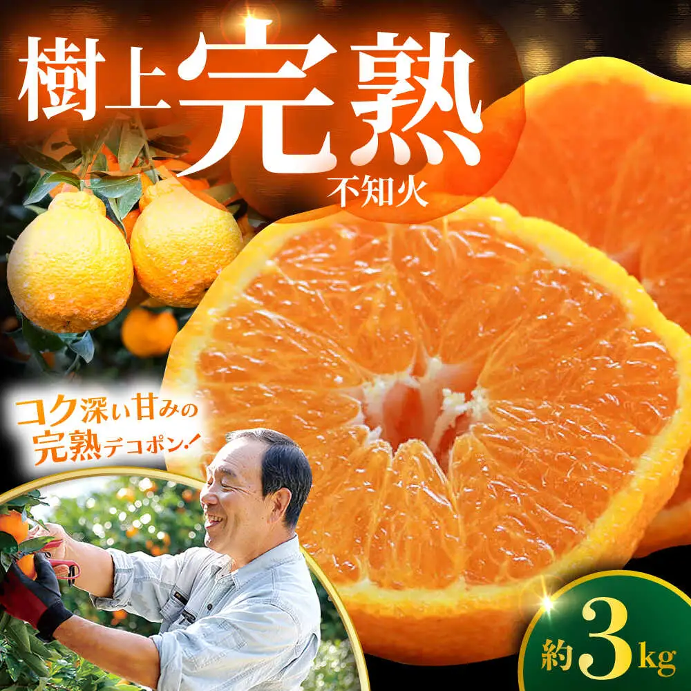 デコポン 不知火 3kg ＜原口果樹園＞ CCW005 デコポン みかん