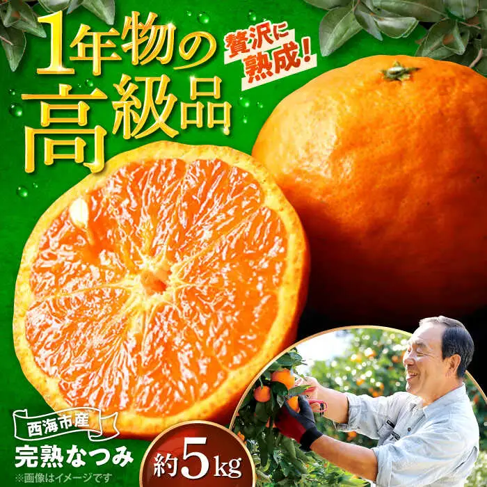 なつみ みかん 約5kg＜原口果樹園＞CCW006 みかん