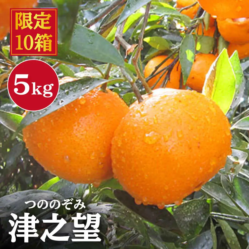 【1月上旬より順次配送】 津之望 みかん 約5kg みかん＜原口果樹園＞ [CCW009]