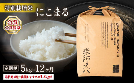 令和6年産 米 【定期便】 十六代目米師又八 謹製 にこまる  5kg×12ヶ月 若井農園おすすめ米1.8kg付  ( 米 にこまる 精米 にこまる 白米 にこまる 2024年産 にこまる 産地直送 にこまる 農家直送 にこまる 国産 にこまる 特別栽培米 にこまる 金賞農家 にこまる 滋賀県 竜王町)