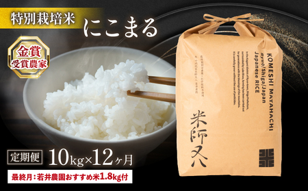 令和6年産 米 【定期便】 十六代目米師又八 謹製 にこまる 10kg×12ヶ月 若井農園おすすめ米1.8kg付  ( 米 にこまる 精米 にこまる 白米 にこまる 2024年産 にこまる 産地直送 にこまる 農家直送 にこまる 国産 にこまる 特別栽培米 にこまる 金賞農家 にこまる 滋賀県 竜王町)
