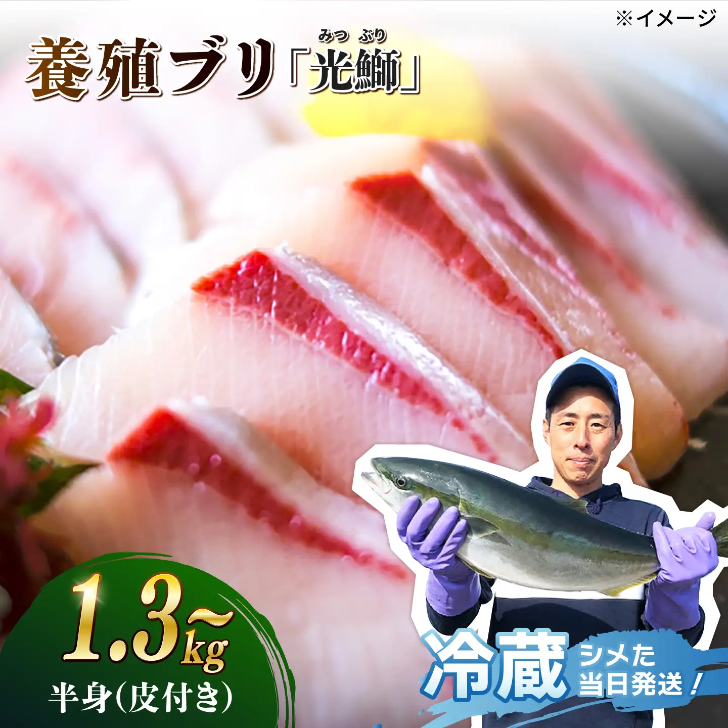 【復活】 養殖 ぶり 「光鰤」半身 約1.3kg? 刺身 ぶり ブリしゃぶ ＜小山水産＞ [CDZ005]