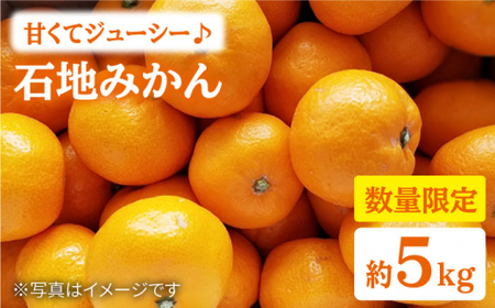 みかん 西海 【☆先行予約☆】 石地 みかん 約5kg  みかん 西海市  贈答 ギフト 家庭用 ＜中尾果樹園＞ [CEL002]