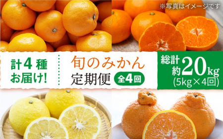 【1月から毎月届く♪4回定期便】旬の みかん 定期便 西海市 みかん 蜜柑 柑橘 みかん  定期便 ＜中尾果樹園＞ [CEL008]