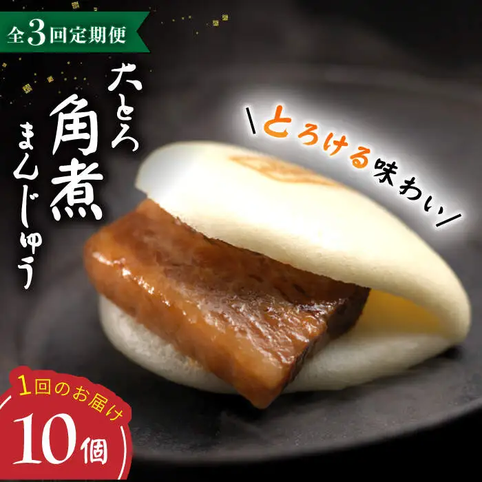【3回定期便】 大とろ角煮まんじゅう （10個） ＜岩崎本舗＞ [CFE029] 角煮まん