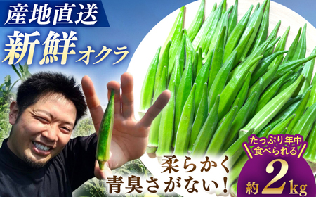 先行予約 オクラ 2kg＜パッパラパー農園＞ [CFI004] 産地直送 オクラ 新鮮 野菜
