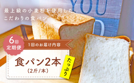 【6回定期便】  食パン 2本[CFL012] パン