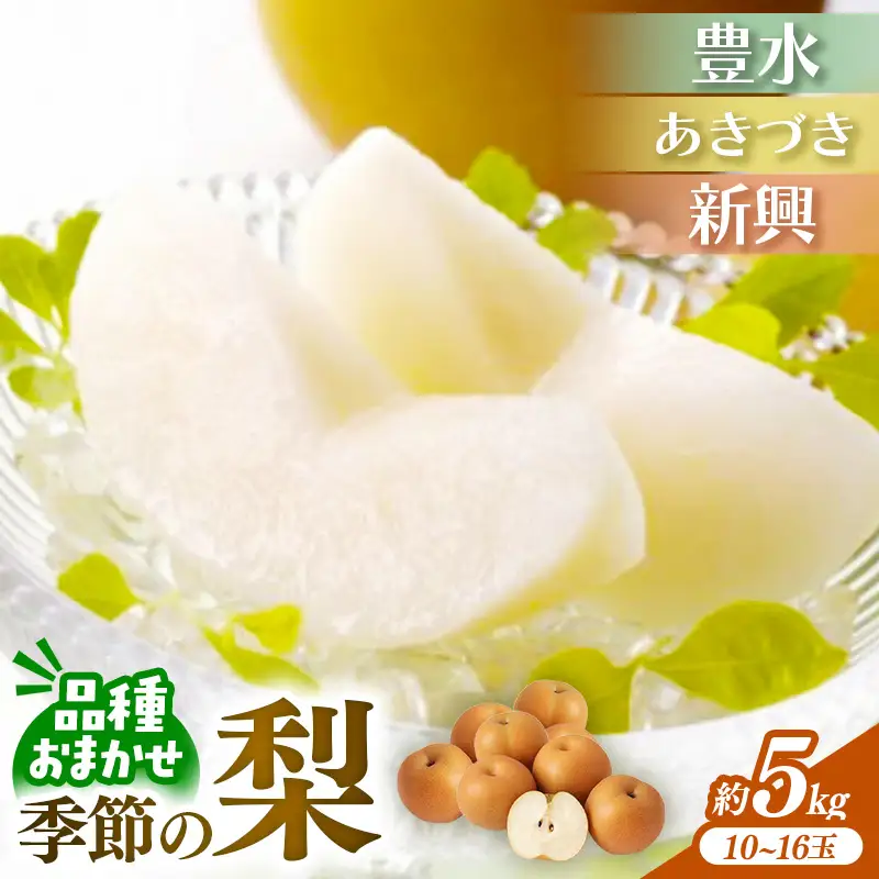 ＜品種おまかせ＞季節の梨 約5kg(10～16玉入り) 豊水 秋月 新興【梨 なし ナシ ほうすい あきづき しんこう フルーツ 果物 果実 旬 贈答 ギフト おすすめ 人気 おまかせ 福岡県 筑前町 送料無料 AK003】【価格改定X】
