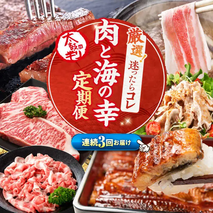 3回定期便 肉と海 西海の宝物定期便 | [CZZ020] 定期便