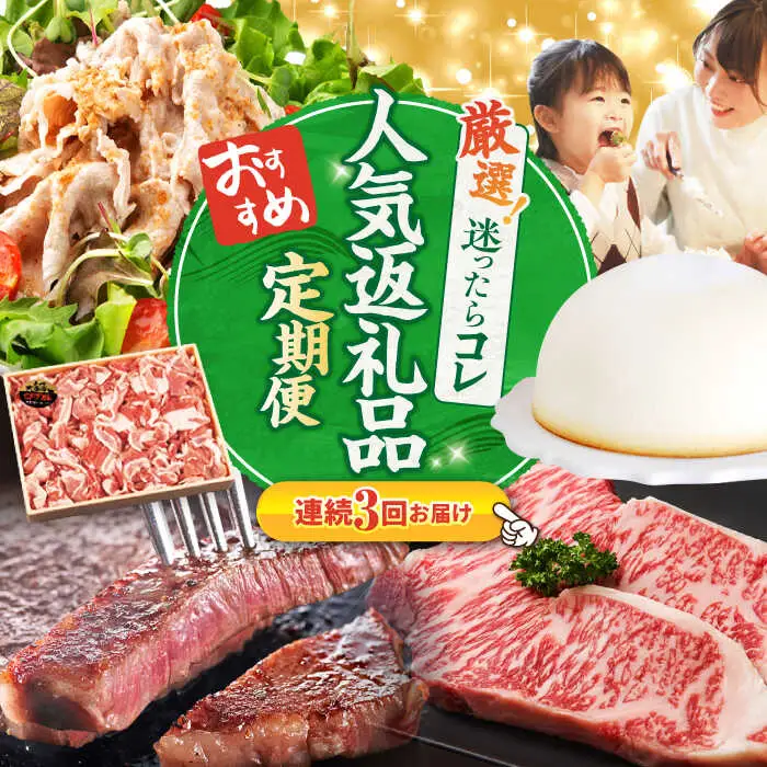 3回定期便 上位人気 西海の宝物定期便 | CZZ023 定期便