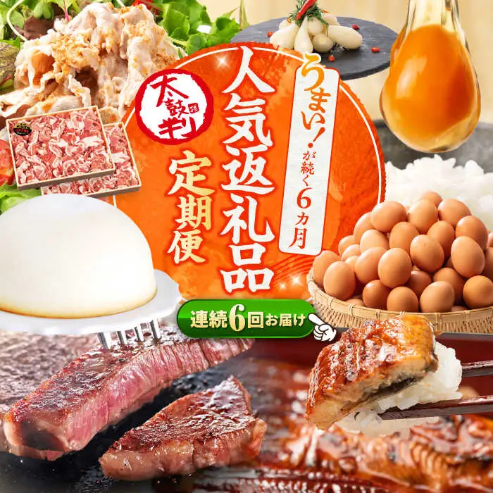 6回定期便 上位人気 西海の宝物定期便 | CZZ024 定期便