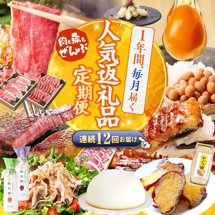 12回定期便 上位人気 西海の宝物定期便 | CZZ025  定期便