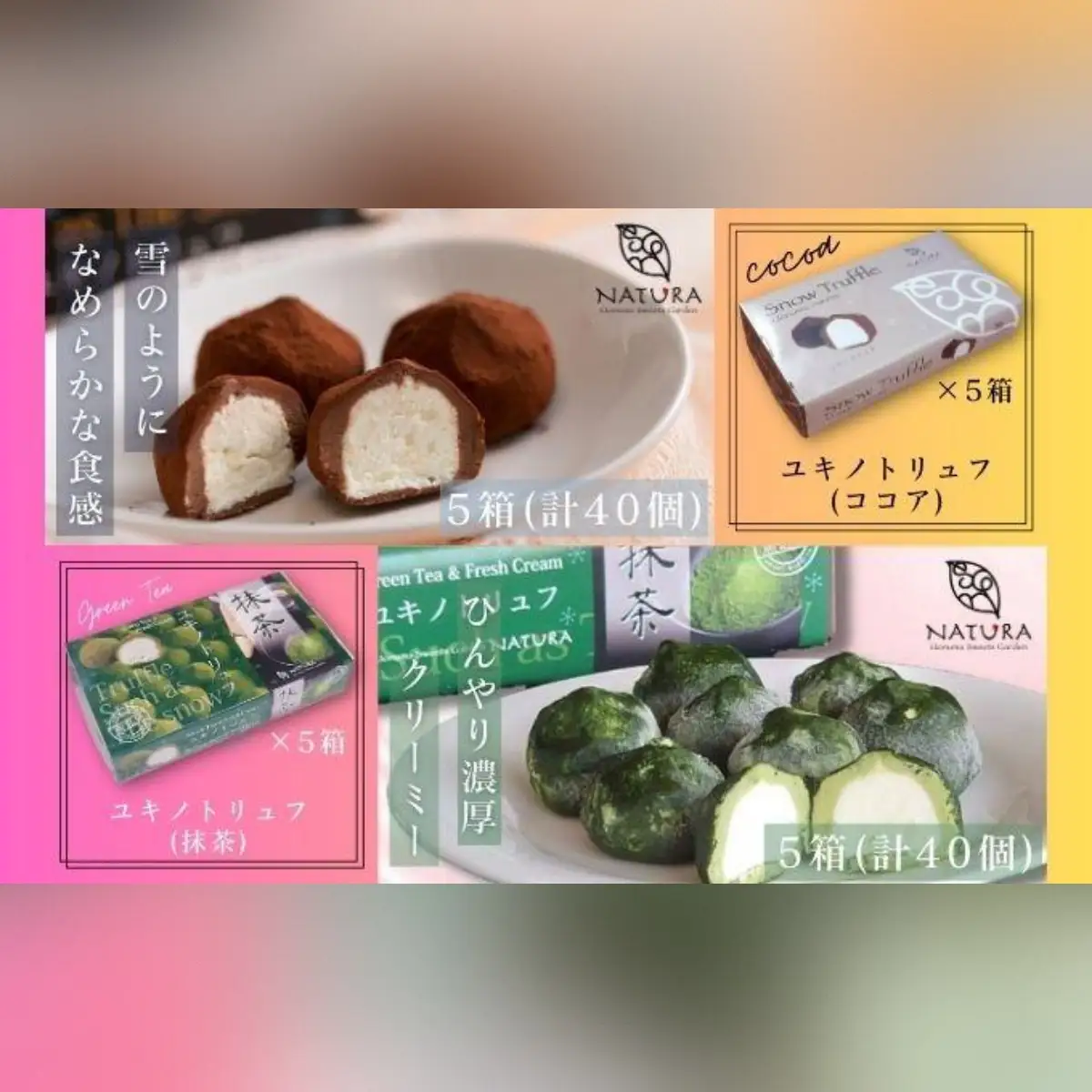 チョコレート ショコラトリュフ ココア 抹茶 スイーツ 生洋菓子  新潟県 南魚沼市 ナトゥーラ 濃厚ひんやり ユキノトリュフ 各1箱（合計2箱）|  チョコレート