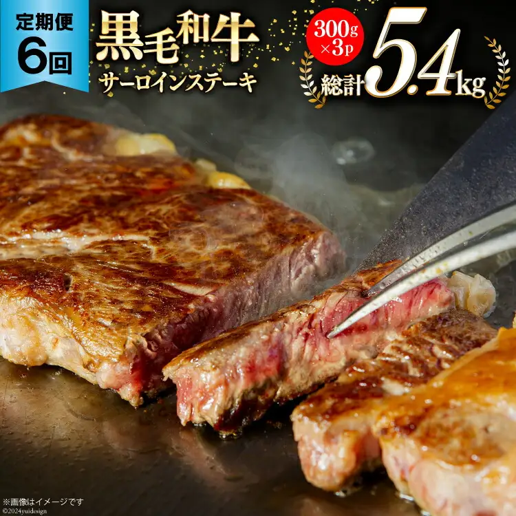 6回 定期便 宮崎県産 黒毛和牛 サーロイン ステーキ 300g ×3×6ヶ月 合計5.4kg