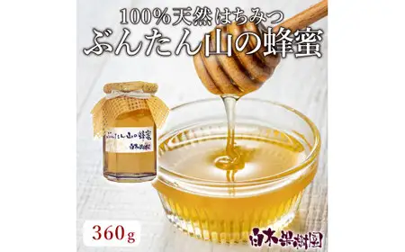 爽やかな香り広がる ぶんたん山の蜂蜜 360g×1本 高知県土佐市 【株式会社SHIRAKI】 [BQAI057]