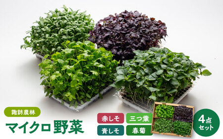 マイクロ野菜 4点セット〈 赤しそ 青しそ 三つ葉 春菊 〉【諏訪農林】[TDO002]