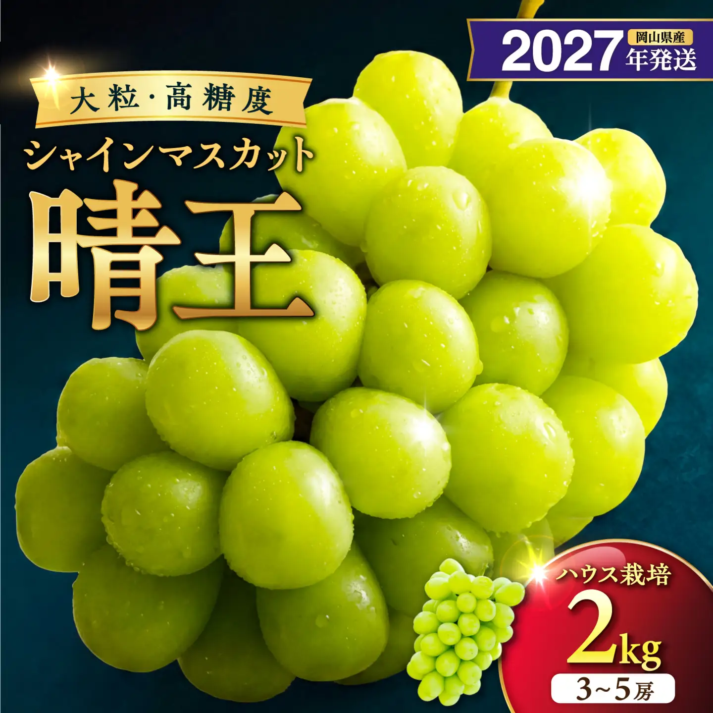2027年発送 岡山県産シャインマスカット 晴王 ハウス栽培 約2kg・3～5房程度【シャインマスカット】