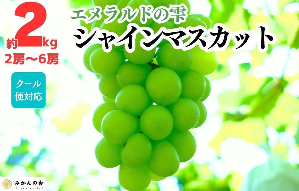 シャインマスカット 有田巨峰村 2kg ( 2房 ～ 6房 ) 和歌山県産  【みかんの会】